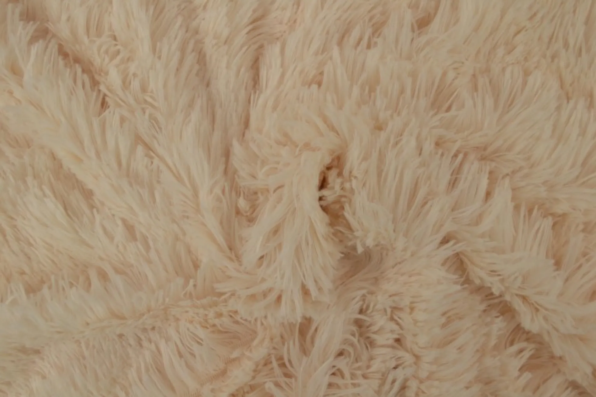 Bont langharig (Pluche / Fluffy) – Champagne