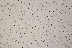 Chiffon – Floral speckles on ivory