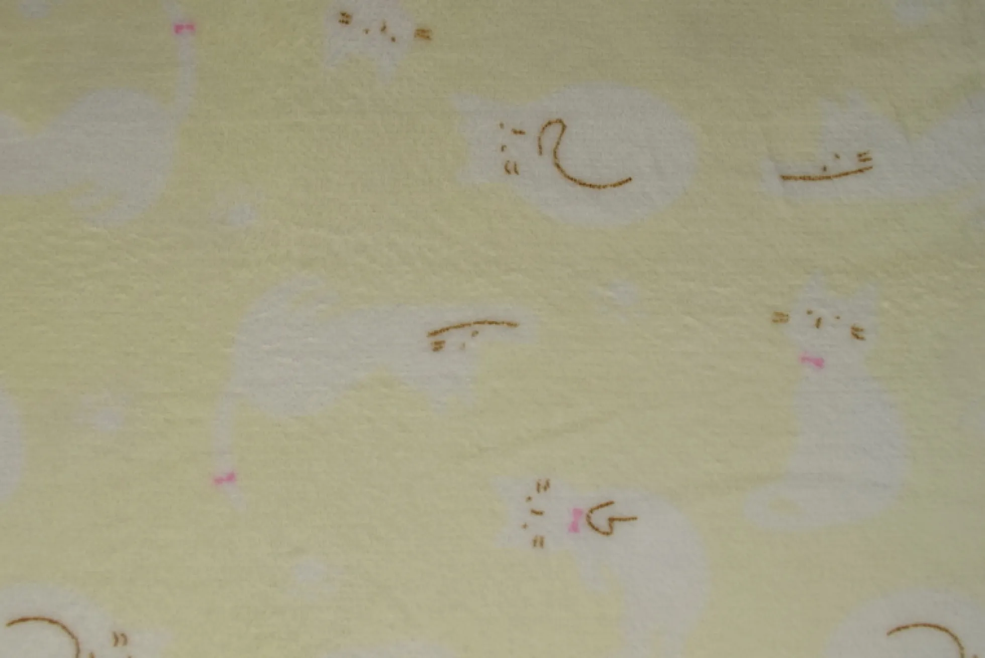Coral Fleece – Cats on pastel yellow
