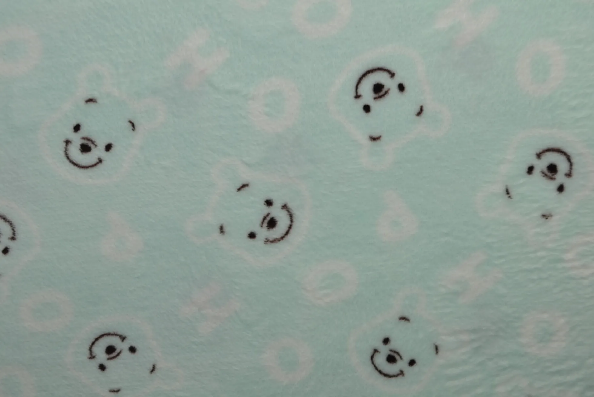 Coral Fleece – Smiling POOH light mint