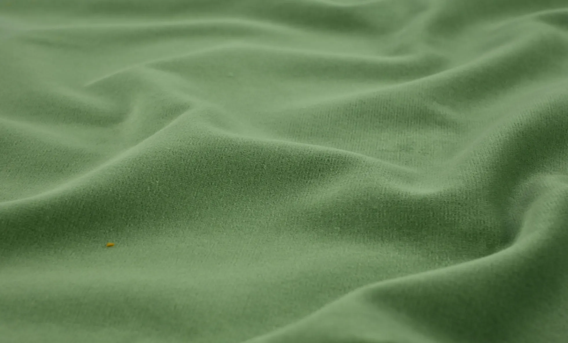 Fluweel / Velours – Zachtgroen katoen