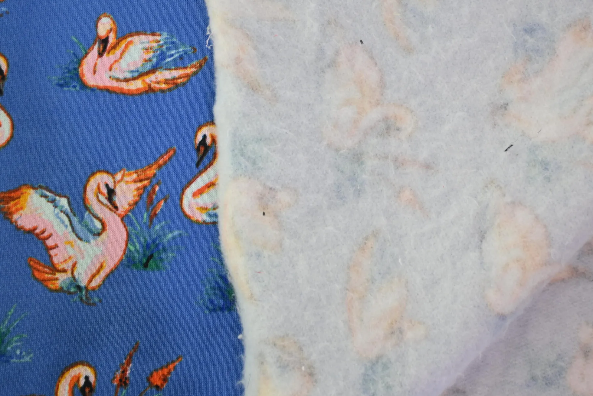 Jogging – Coral Swans on blue