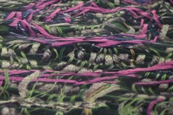 Katoen fluweel stretch – Royal weave