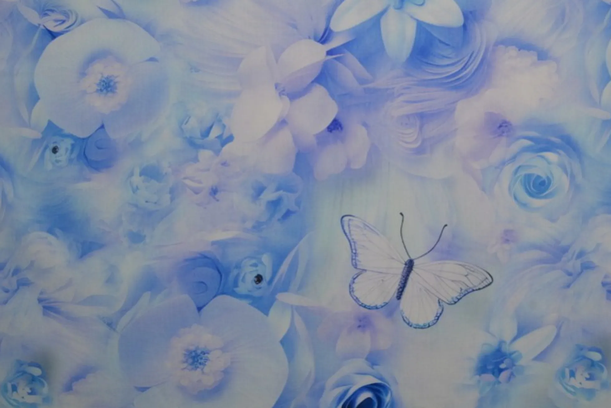Katoen poplin digitaal – Roses & butterflies blue