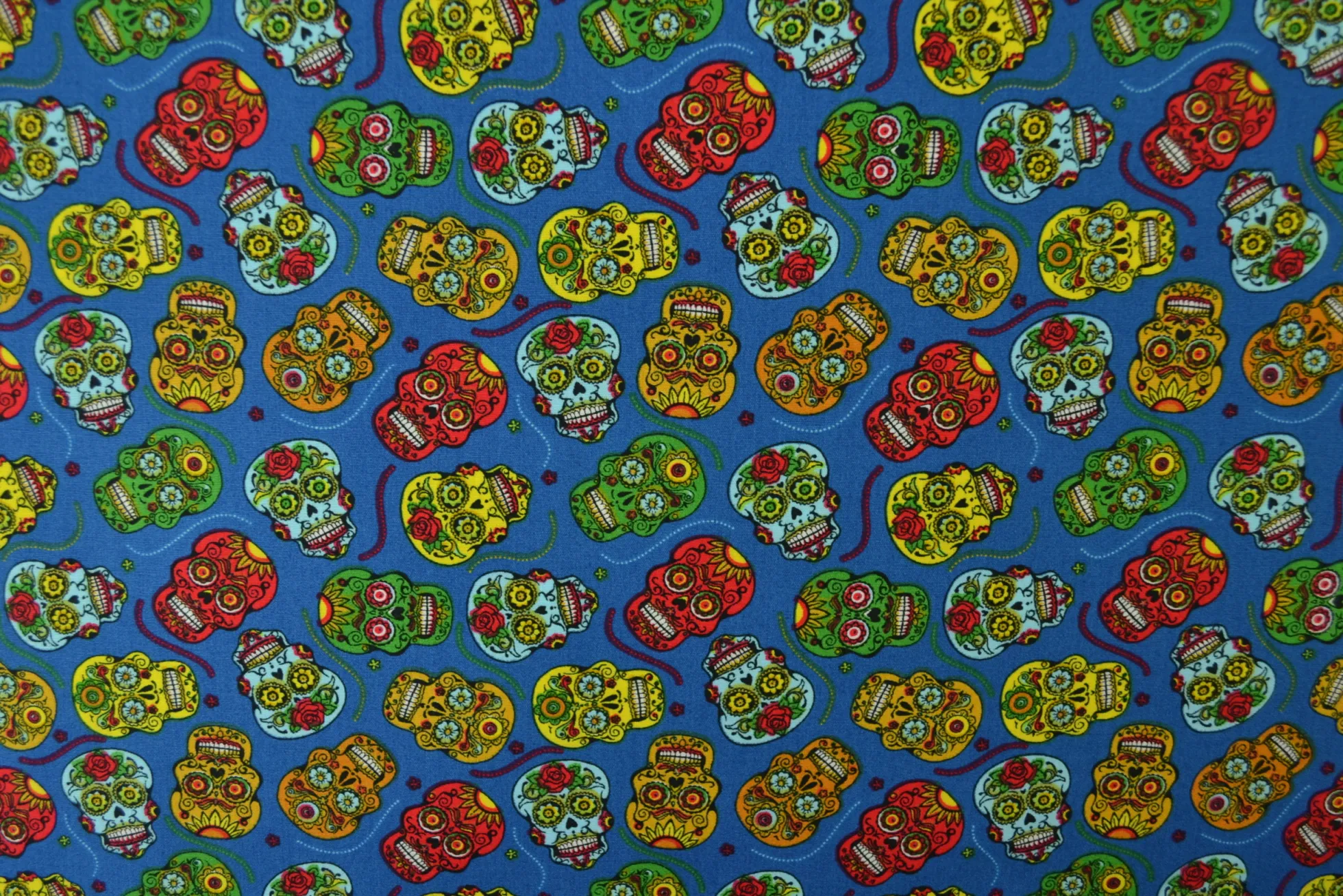 Katoen poplin – Schedel blauw