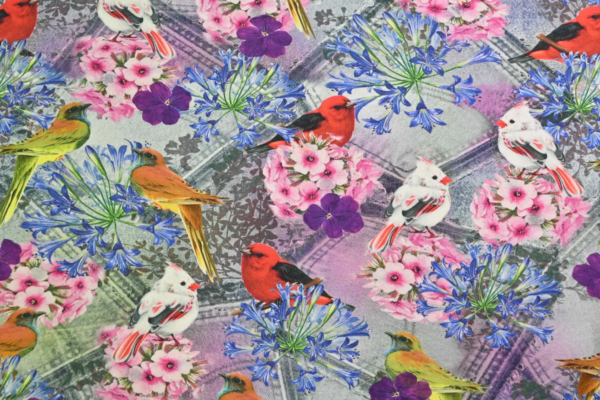 Katoen tricot – Crimson Songbirds