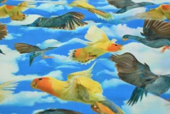 Katoen tricot – Parakeet in the Clouds