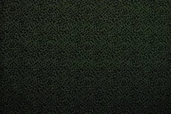 Lycra – Black spots on dark green