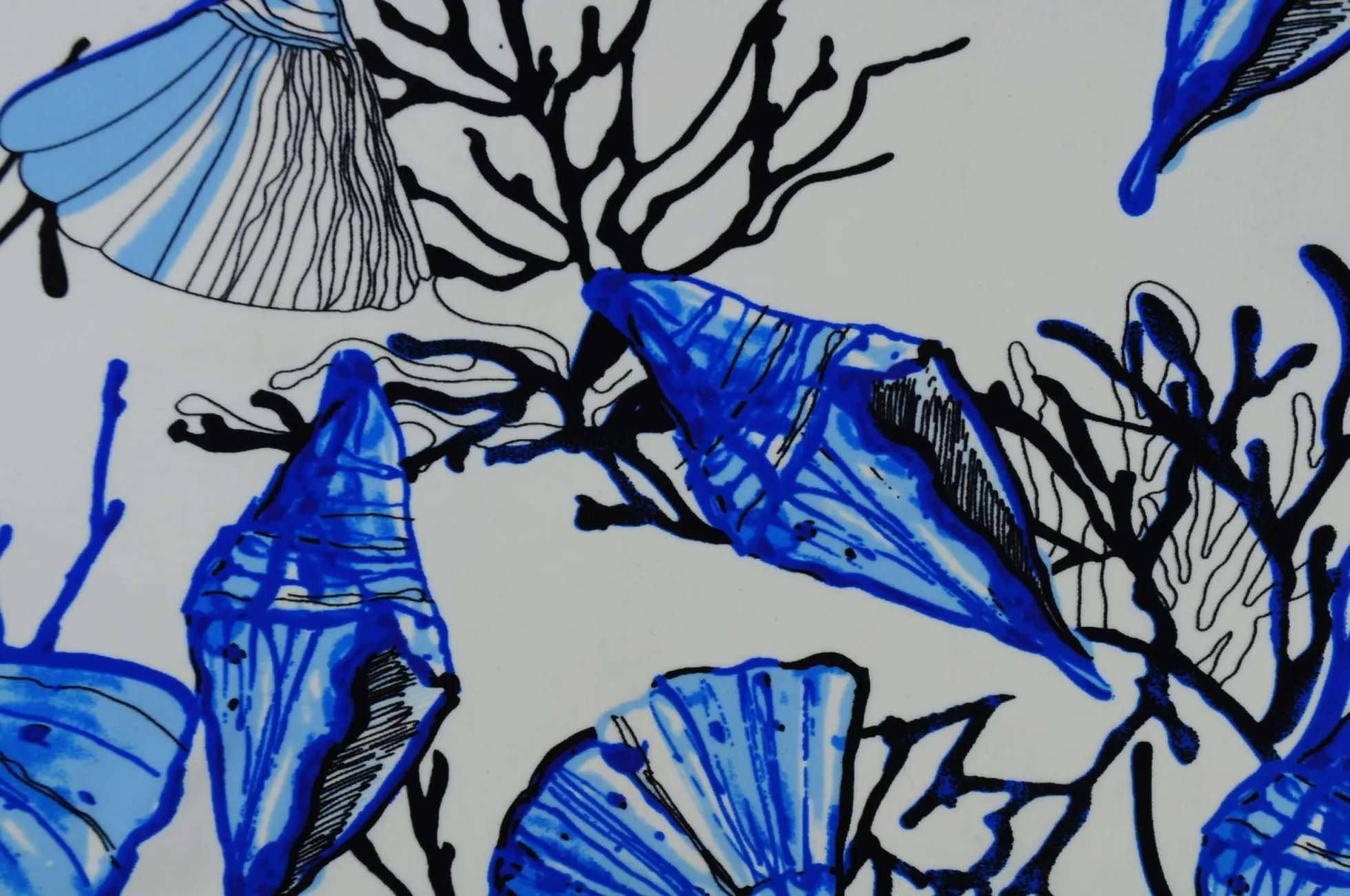 Lycra – Blue shells