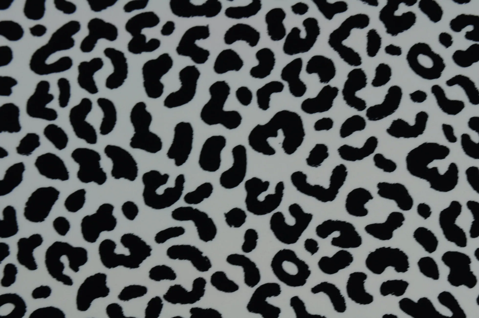 Lycra – Classic leopard black & offwhite