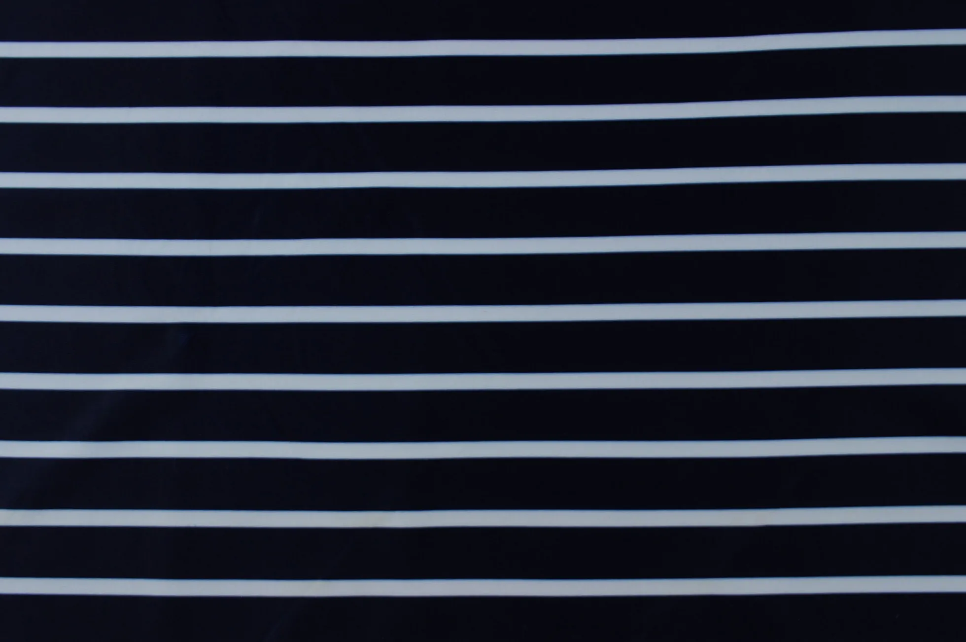 Lycra – Navy stripes