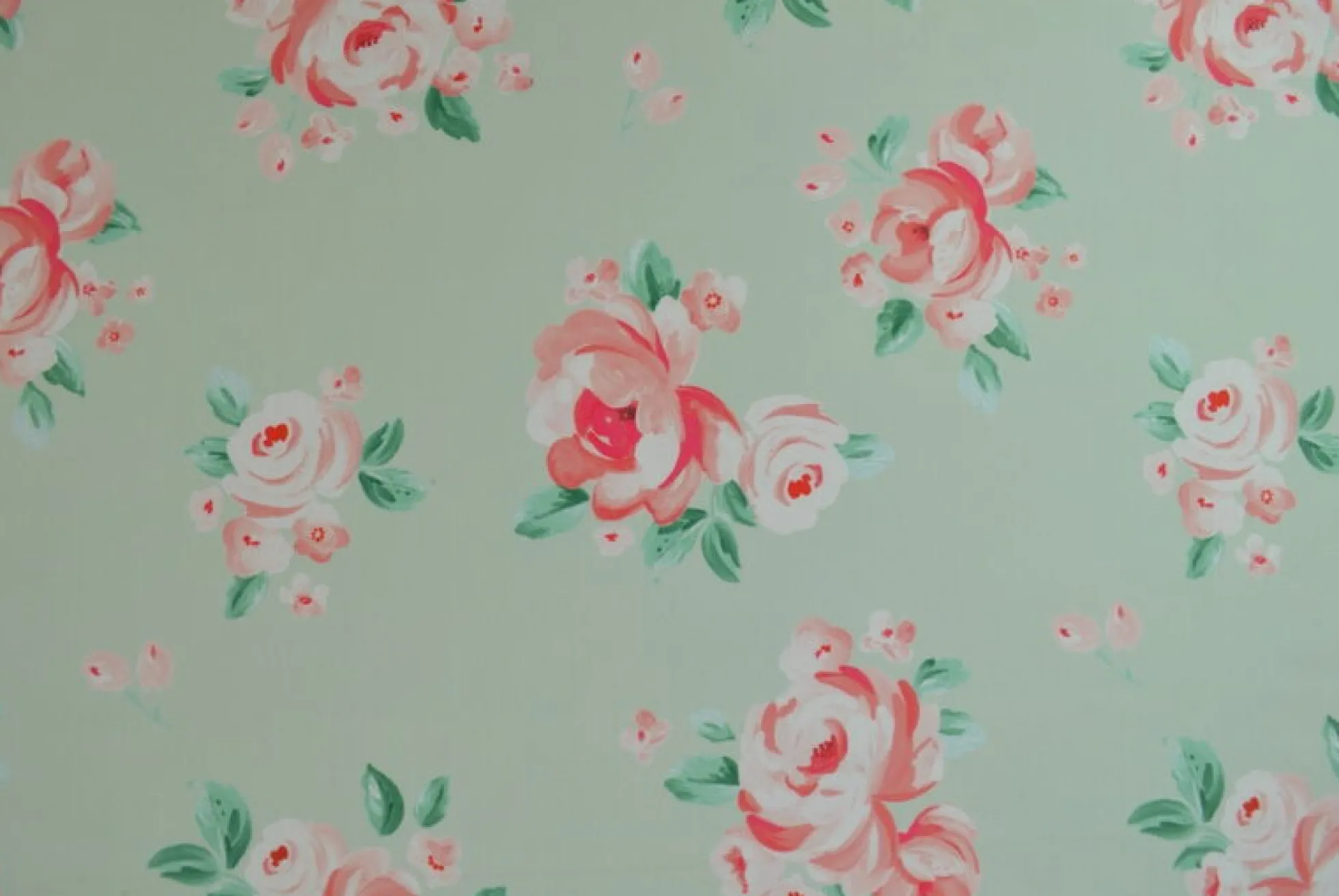 Lycra – Pink roses on light mint