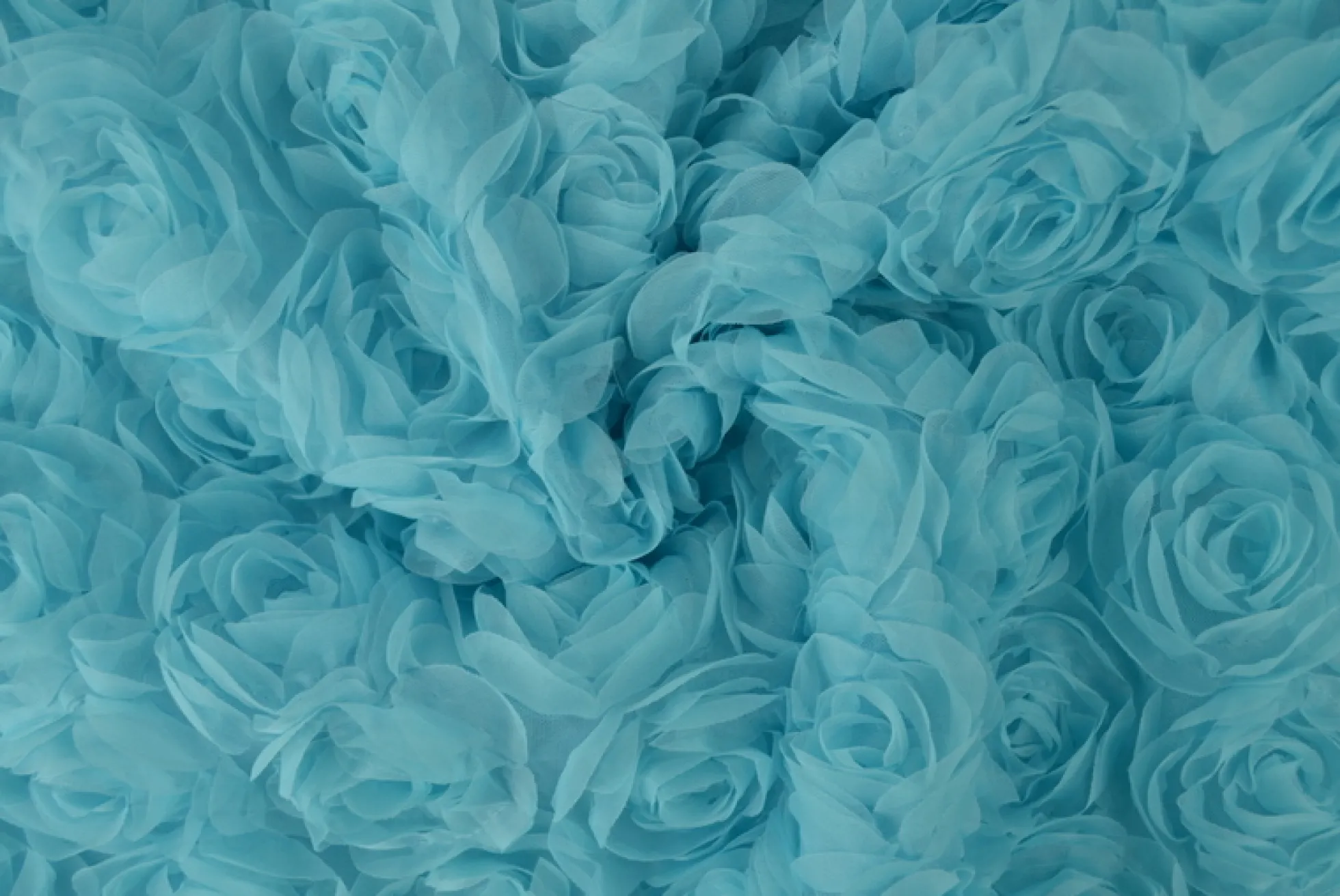 Mesh deluxe – Aquablauw roses