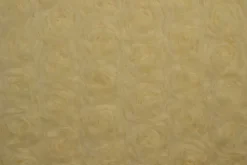 Mesh deluxe – Champagne roses