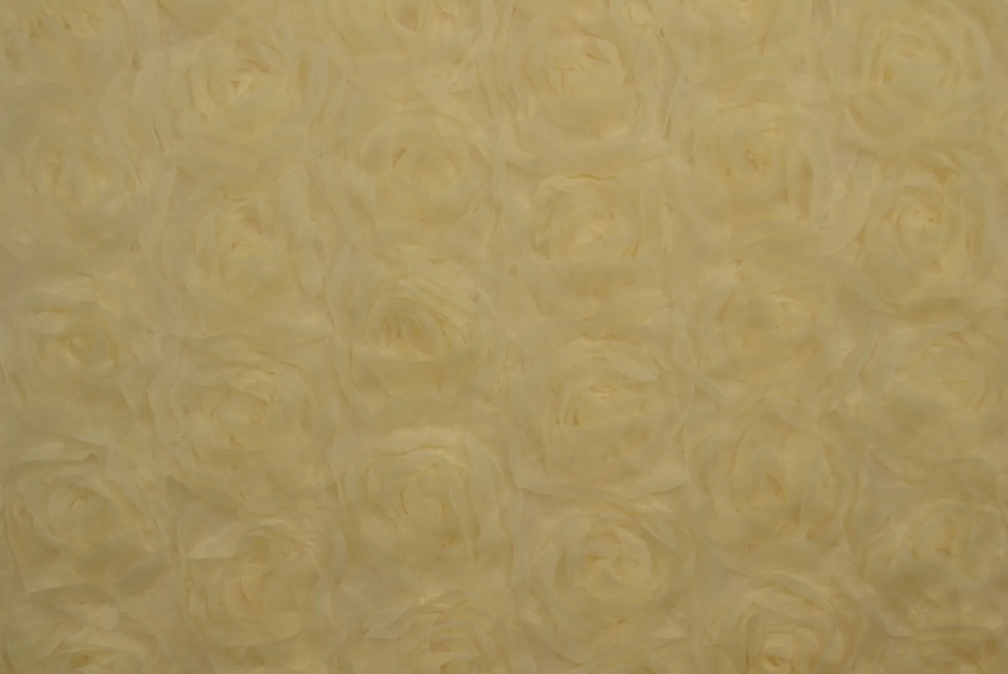 Mesh deluxe – Champagne roses