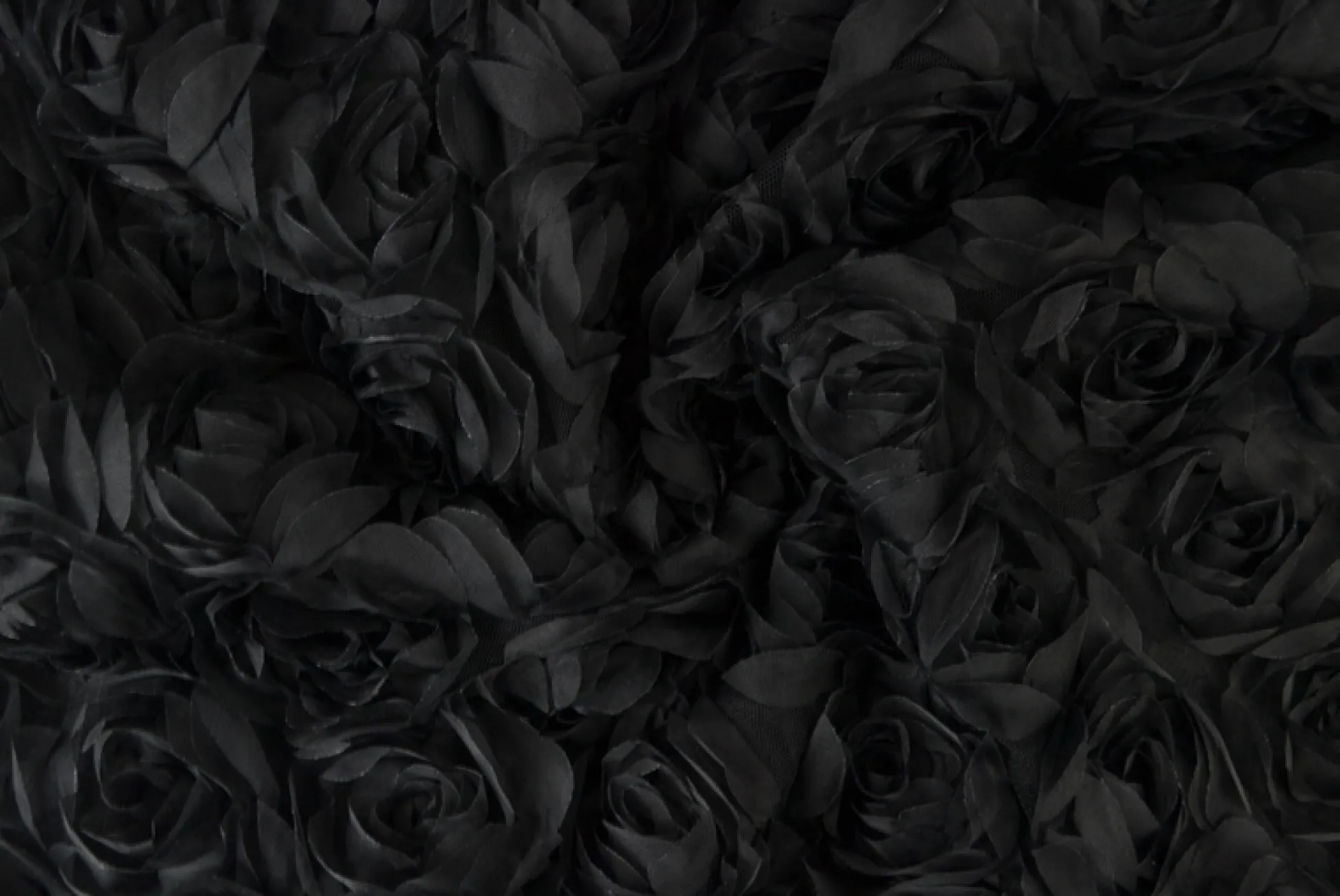 Mesh deluxe – Zwart roses