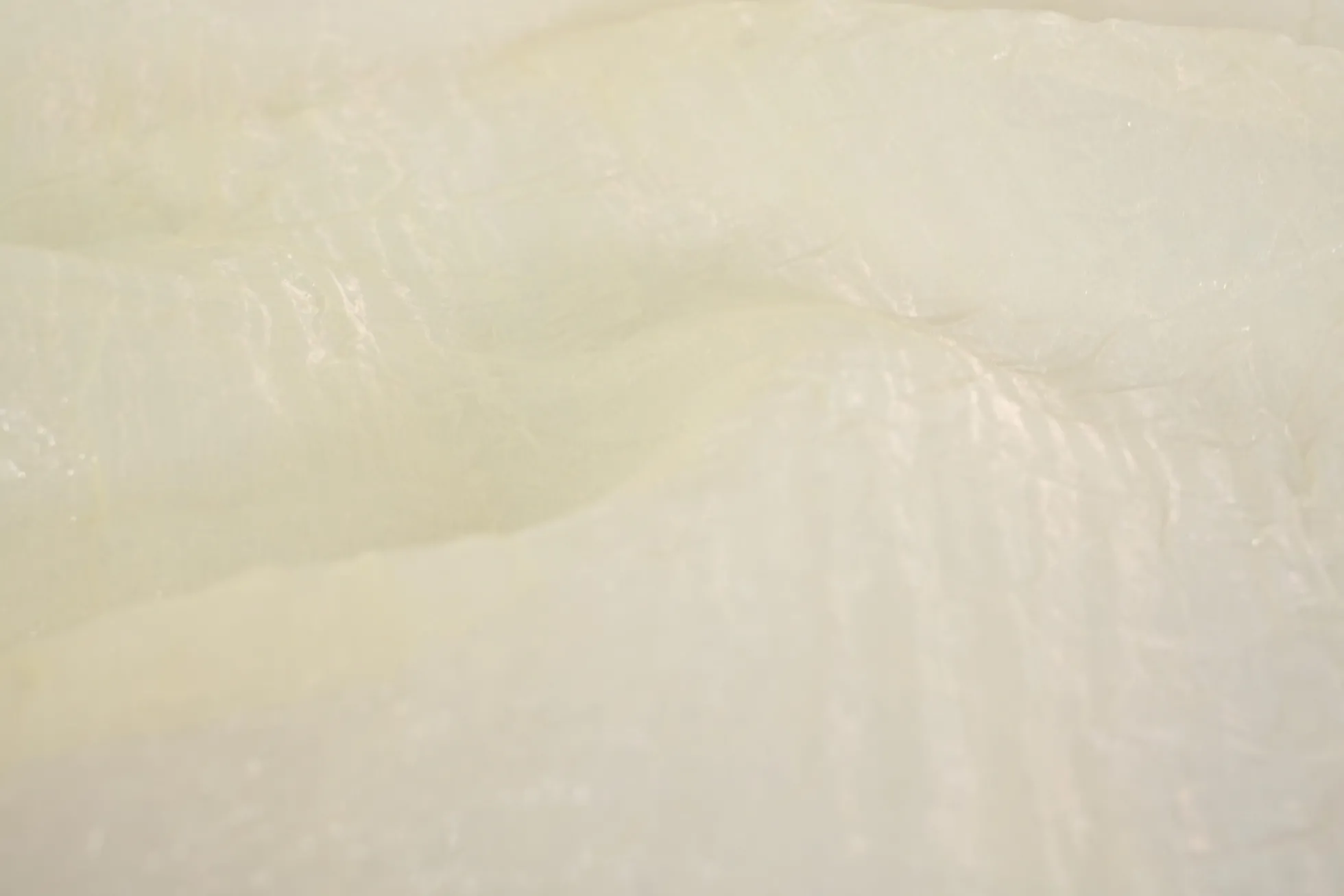 Organza crinkle – Champagne