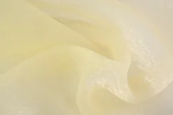 Organza crinkle – Champagne