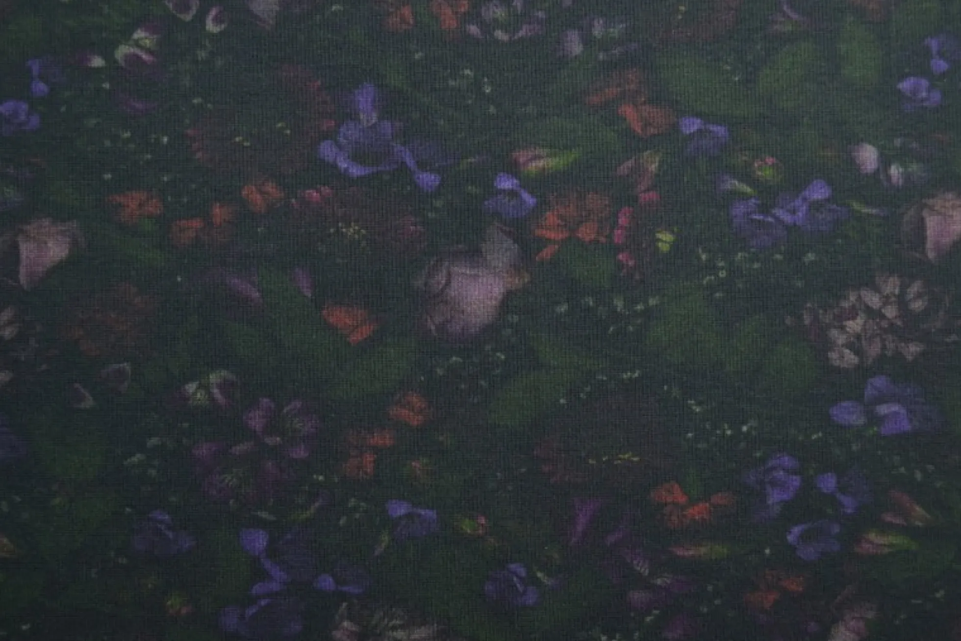Rib jersey – Dark shady flowers and leaves