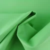 Skai leer – Pastelgroen