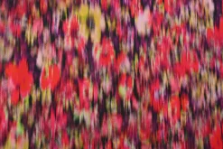 Stretch katoen – Colorful blurry