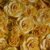 Viscose digitaal – Golden rose