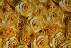 Viscose digitaal – Golden rose