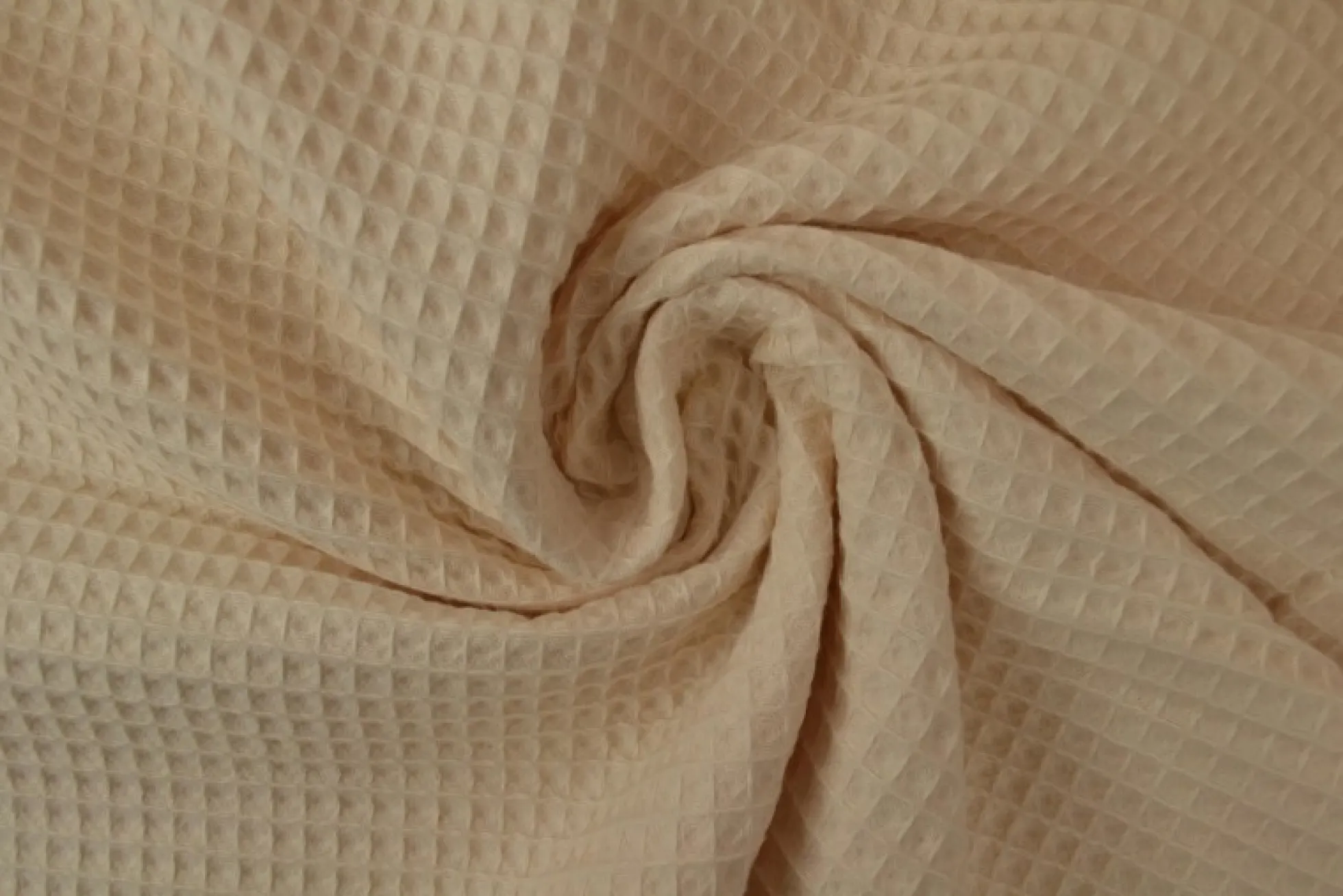 Wafelkatoen – Champagne